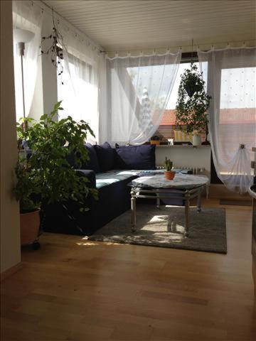 Ferienwohnung Muehlbach อิสนี อิม อัลล์กอย ภายนอก รูปภาพ